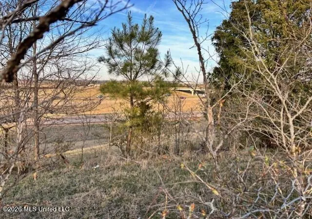 Photo 1 of Land for sale at 100 Dempsey Dr, Byhalia, MS 38611 | MLS# 4157992 | Listing updated on 2026-08-03