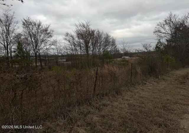 Photo 4 of Land for sale at 100 Dempsey Dr, Byhalia, MS 38611 | MLS# 4157992 | Listing updated on 2026-08-03