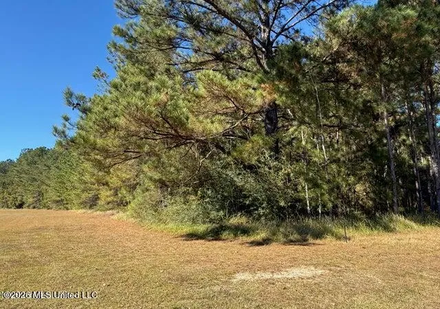 1st image of 625ac Knob Town Rd, State Line, MS 39362 | MLS# 4157990