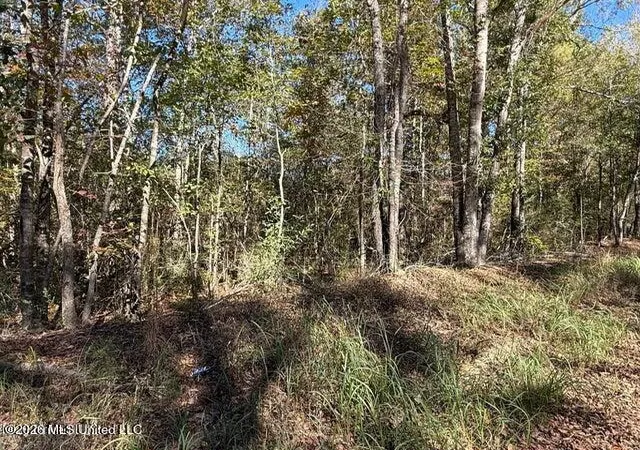 2nd image of 625ac Knob Town Rd, State Line, MS 39362 | MLS# 4157990
