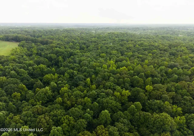 Photo 19 of Land for sale at Tallaha Rd, Charleston, MS 38921 | MLS# 4158011 | Listing updated on 2026-08-12