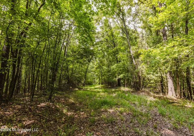 Photo 4 of Land for sale at Tallaha Rd, Charleston, MS 38921 | MLS# 4158011 | Listing updated on 2026-08-12