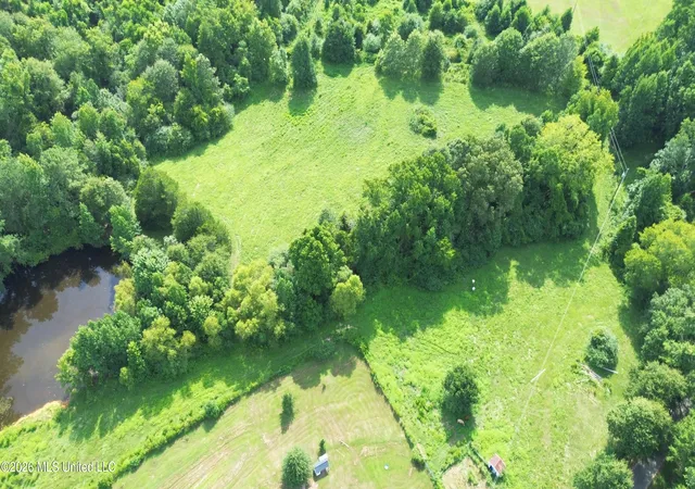 Photo 3 of Land for sale at 386 E Smith County Rd 111 A, Raleigh, MS 39153 | MLS# 4158007 | Listing updated on 2026-08-03