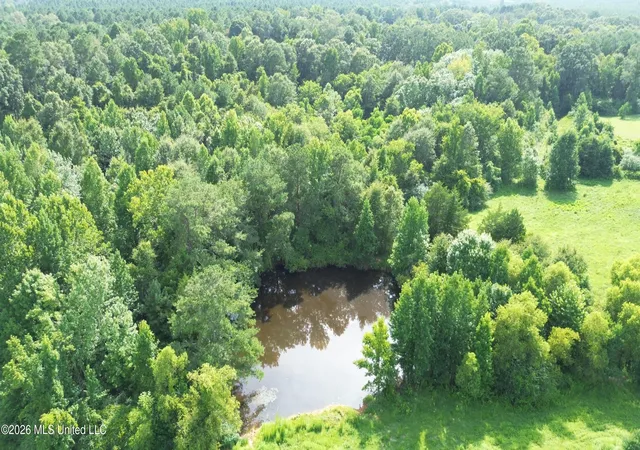 Photo 3 of Land for sale at 386 E Smith County Rd 111 A, Raleigh, MS 39153 | MLS# 4158007 | Listing updated on 2026-08-03