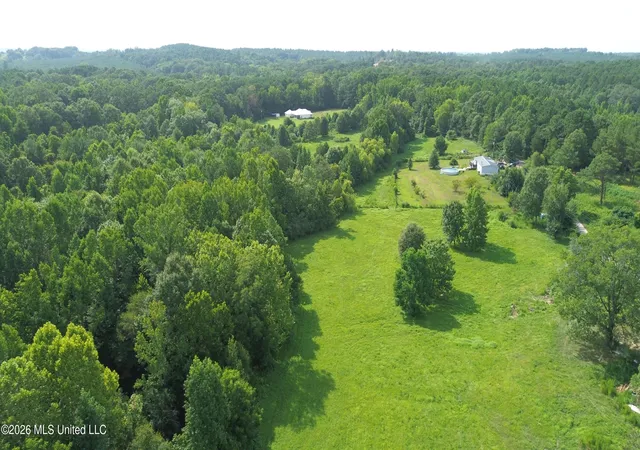 Photo 4 of Land for sale at 386 E Smith County Rd 111 A, Raleigh, MS 39153 | MLS# 4158007 | Listing updated on 2026-08-03