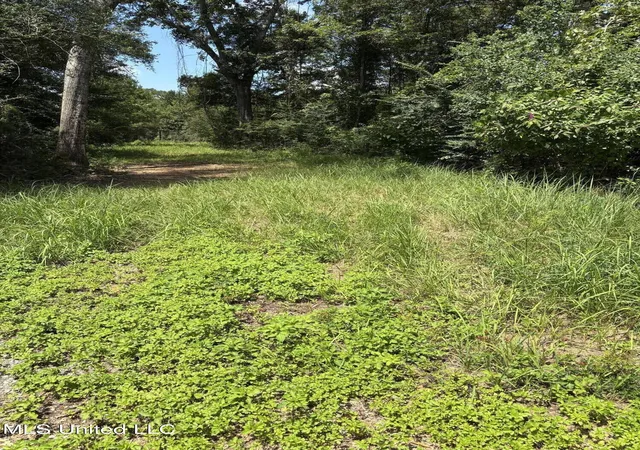 Photo 3 of Sale Pending at Ray Wilson Rd, Vancleave, MS 39565 | MLS# 4158038 | Listing updated on 2026-09-13