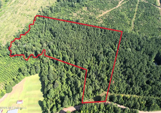Photo 1 of Sale Pending at 0 Ne Pipeline Ln, Sontag, MS 39665 | MLS# 4158278 | Listing updated on 2026-09-09
