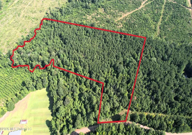Photo 2 of Sale Pending at 0 NE Pipeline Ln, Sontag, MS 39665 | MLS# 4158278 | Listing updated on 2026-09-09