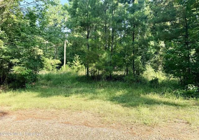 Photo 3 of Sale Pending at 0 NE Pipeline Ln, Sontag, MS 39665 | MLS# 4158278 | Listing updated on 2026-09-09