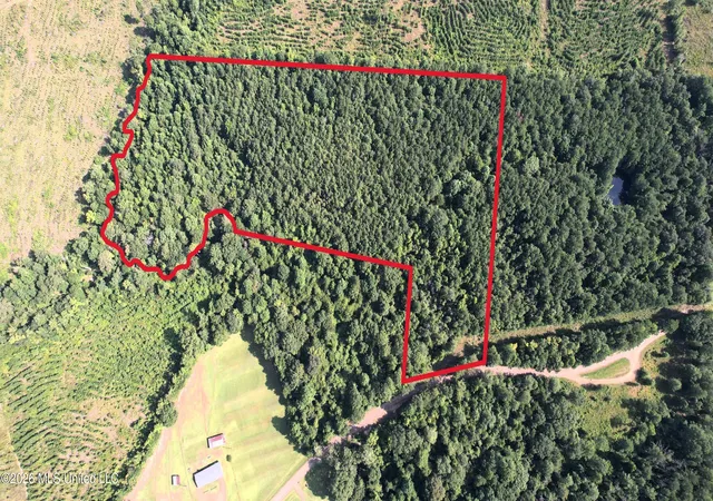 Photo 4 of Sale Pending at 0 NE Pipeline Ln, Sontag, MS 39665 | MLS# 4158278 | Listing updated on 2026-09-09