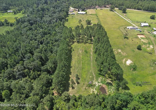 Photo 45 of Sale Pending at 116 Levi Bryant Rd, Lumberton, MS 39455 | MLS# 4158073 | Listing updated on 2026-09-13