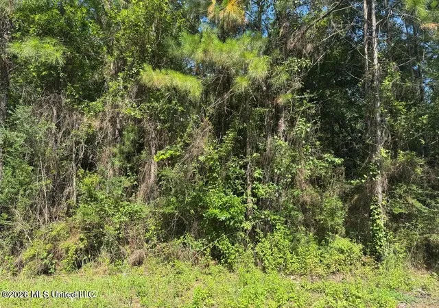 Photo 3 of Land for sale at 000 Schrader Ct, Saucier, MS 39574 | MLS# 4158059 | Listing updated on 2026-09-04