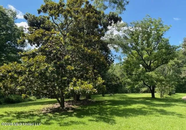 Photo 35 of Sale Pending at 7 County Rd 527, Como, MS 38619 | MLS# 4158104 | Listing updated on 2026-08-12