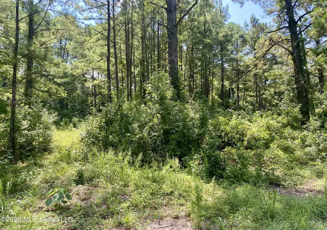 1st image of Xxx Clubhouse Dr, Wiggins, MS 39577 | MLS# 4158100
