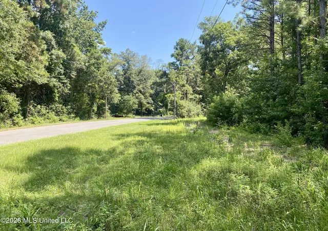 2nd image of Xxx Clubhouse Dr, Wiggins, MS 39577 | MLS# 4158100
