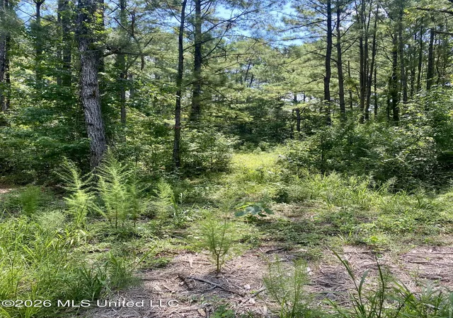 3rd image of Xxx Clubhouse Dr, Wiggins, MS 39577 | MLS# 4158100