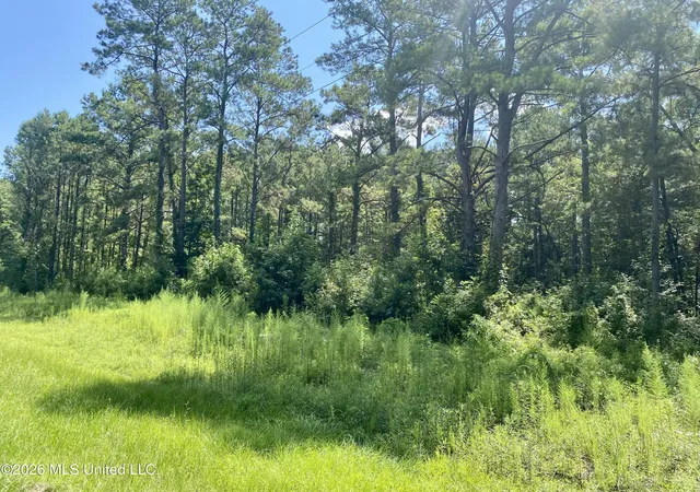 4th image of Xxx Clubhouse Dr, Wiggins, MS 39577 | MLS# 4158100