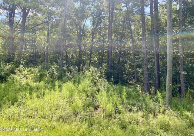5th image of Xxx Clubhouse Dr, Wiggins, MS 39577 | MLS# 4158100