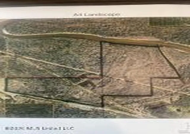 1st image of Hwy 198, Beaumont, MS 39423 | MLS# 4158107