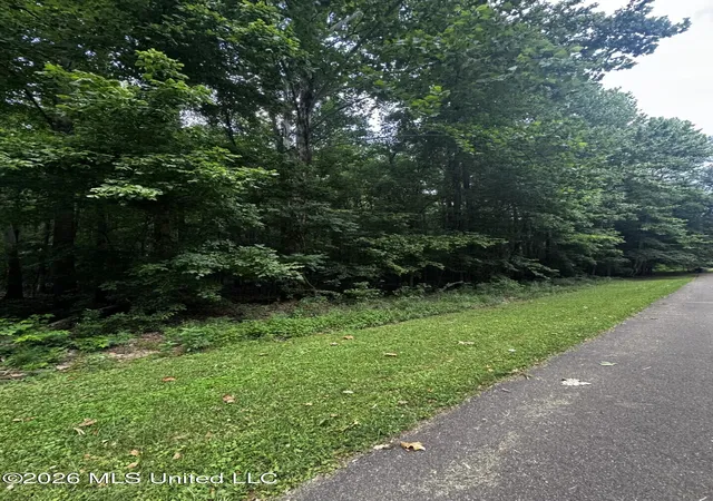 Photo 1 of Land for sale at E Sweetwater, Byhalia, MS 38611 | MLS# 4158236 | Listing updated on 2026-08-07