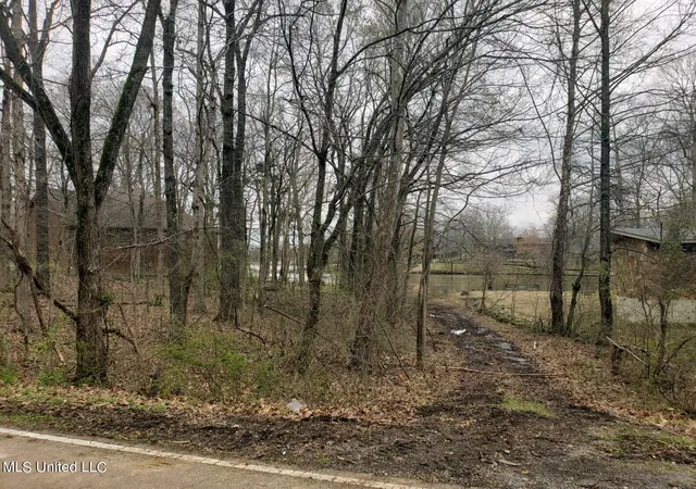 Photo 1 of Land for sale at 4025 Windermere Dr, Nesbit, MS 38651 | MLS# 4158990 | Listing updated on 2026-08-12