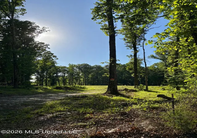 Photo 1 of Sale Pending at 229 Barnes Rd, Florence, MS 39073 | MLS# 4158448 | Listing updated on 2026-09-17