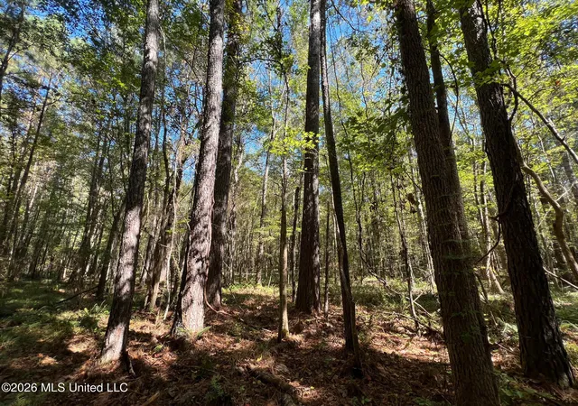 Photo 1 of Land for sale at Highway 84, Roxie, MS 39661 | MLS# 4158160 | Listing updated on 2026-08-05