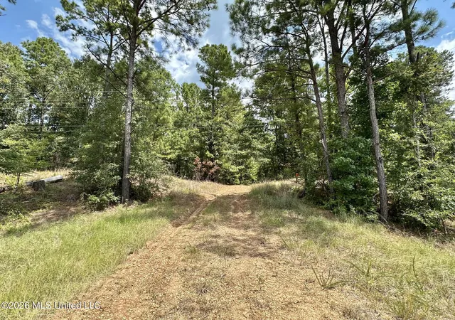 Photo 2 of Land for sale at Highway 84, Roxie, MS 39661 | MLS# 4158160 | Listing updated on 2026-08-05