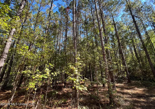 Photo 4 of Land for sale at Highway 84, Roxie, MS 39661 | MLS# 4158160 | Listing updated on 2026-08-05