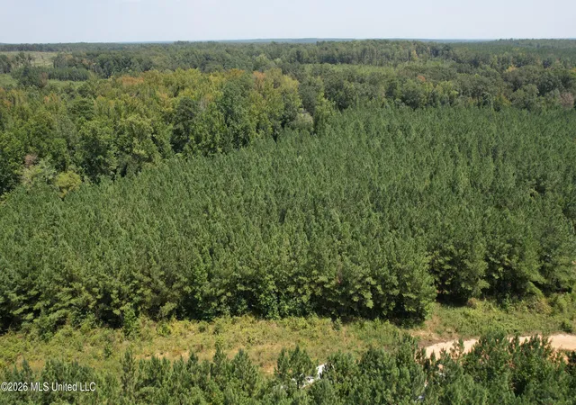 Photo 1 of Land for sale at Cr 2132, Mc Cool, MS 39108 | MLS# 4158175 | Listing updated on 2026-08-19