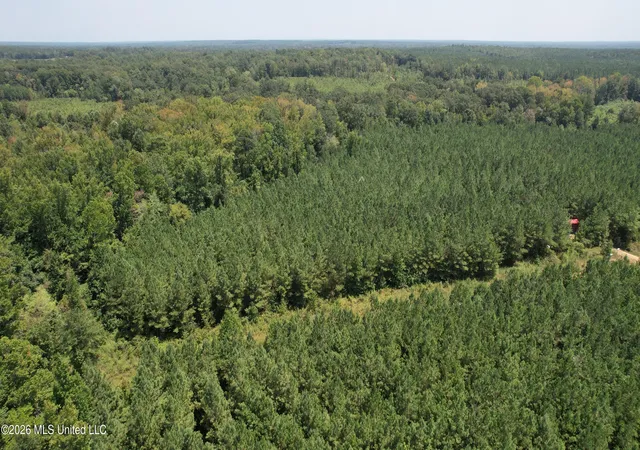 Photo 2 of Land for sale at Cr 2132, Mc Cool, MS 39108 | MLS# 4158175 | Listing updated on 2026-08-19