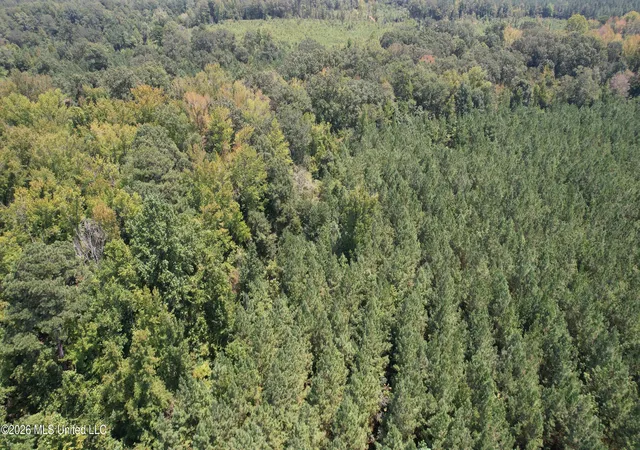 Photo 3 of Land for sale at Cr 2132, Mc Cool, MS 39108 | MLS# 4158175 | Listing updated on 2026-08-19