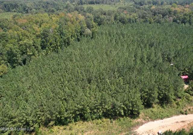 Photo 3 of Land for sale at Cr 2132, Mc Cool, MS 39108 | MLS# 4158175 | Listing updated on 2026-08-19