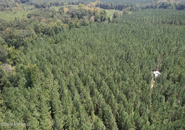 Photo 4 of Land for sale at Cr 2132, Mc Cool, MS 39108 | MLS# 4158175 | Listing updated on 2026-08-19