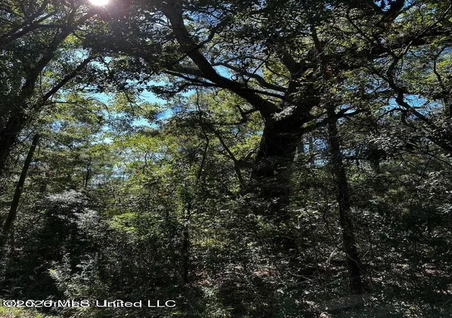 Photo 3 of Land for sale at 6611 Omaha St, Biloxi, MS 39532 | MLS# 4158573 | Listing updated on 2026-09-16