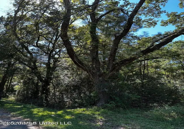 Photo 4 of Land for sale at 6611 Omaha St, Biloxi, MS 39532 | MLS# 4158573 | Listing updated on 2026-09-16