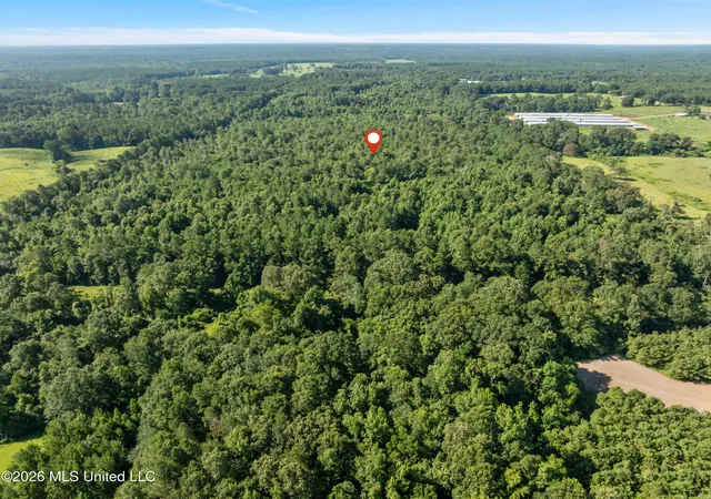 Photo 25 of Sale Pending at Fulgham Rd, Tylertown, MS 39667 | MLS# 4158200 | Listing updated on 2026-08-07