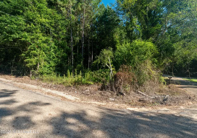 Photo 2 of Sale Pending at Fulgham Rd, Tylertown, MS 39667 | MLS# 4158200 | Listing updated on 2026-08-07