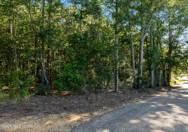 Photo 3 of Sale Pending at Fulgham Rd, Tylertown, MS 39667 | MLS# 4158200 | Listing updated on 2026-08-07