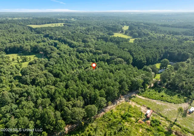 Photo 4 of Sale Pending at Fulgham Rd, Tylertown, MS 39667 | MLS# 4158200 | Listing updated on 2026-08-07