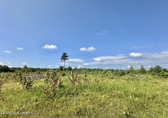 Photo 2 of Land for sale at 1 Will Womack, Mantee, MS 39751 | MLS# 4158191 | Listing updated on 2026-08-05