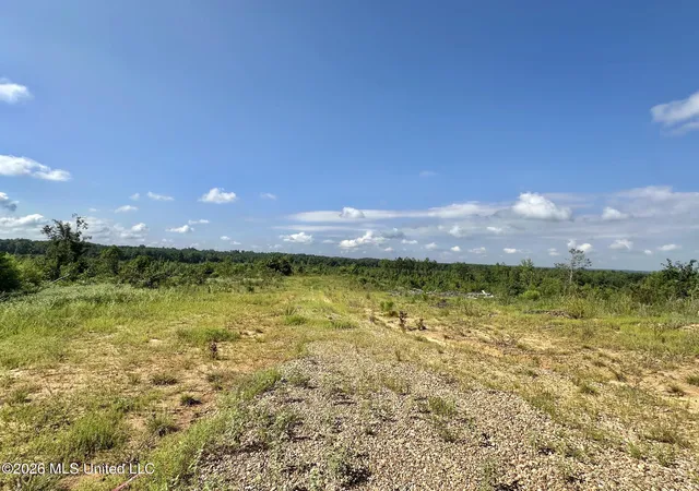 Photo 3 of Land for sale at 1 Will Womack, Mantee, MS 39751 | MLS# 4158191 | Listing updated on 2026-08-05