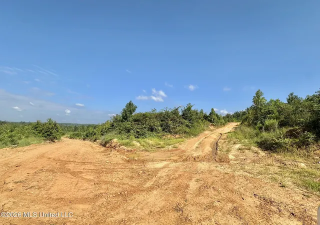 Photo 3 of Land for sale at 1 Will Womack, Mantee, MS 39751 | MLS# 4158191 | Listing updated on 2026-08-05