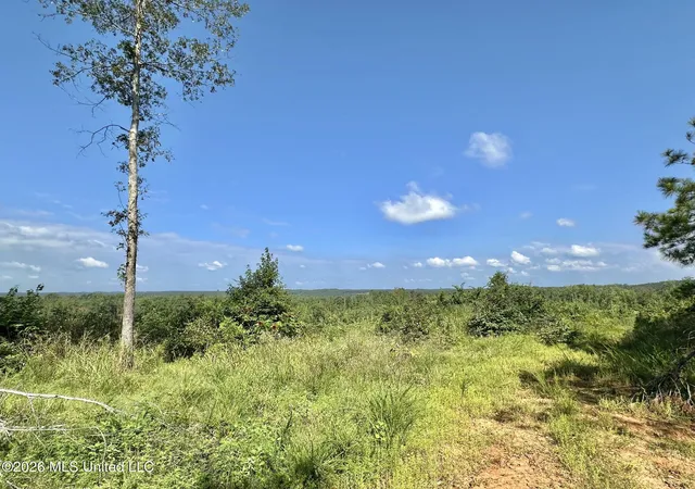 Photo 4 of Land for sale at 1 Will Womack, Mantee, MS 39751 | MLS# 4158191 | Listing updated on 2026-08-05