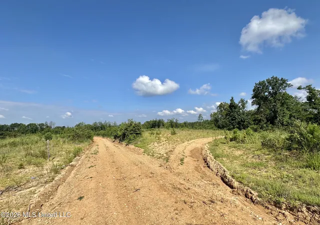 Photo 3 of Land for sale at 2 Will Womack, Mantee, MS 39751 | MLS# 4158195 | Listing updated on 2026-08-05