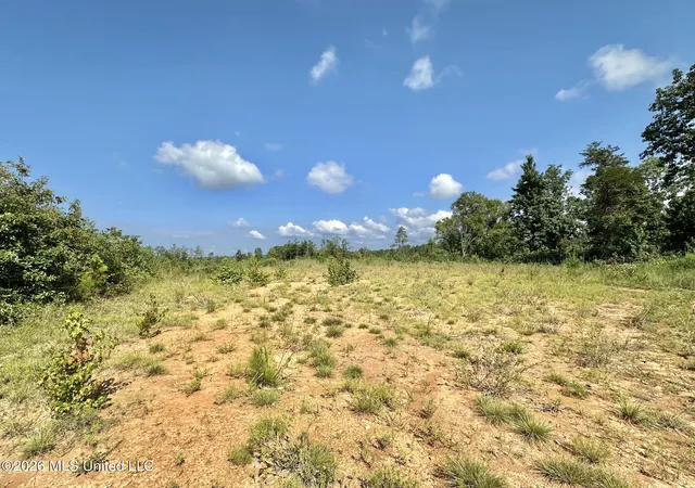 Photo 3 of Land for sale at 2 Will Womack, Mantee, MS 39751 | MLS# 4158195 | Listing updated on 2026-08-05
