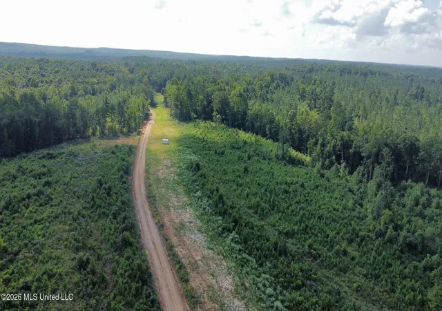 Photo 4 of Land for sale at 2 Will Womack, Mantee, MS 39751 | MLS# 4158195 | Listing updated on 2026-08-05