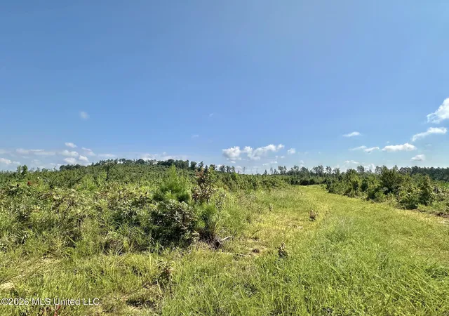 Photo 2 of Land for sale at 3 Will Womack, Mantee, MS 39751 | MLS# 4158197 | Listing updated on 2026-08-05