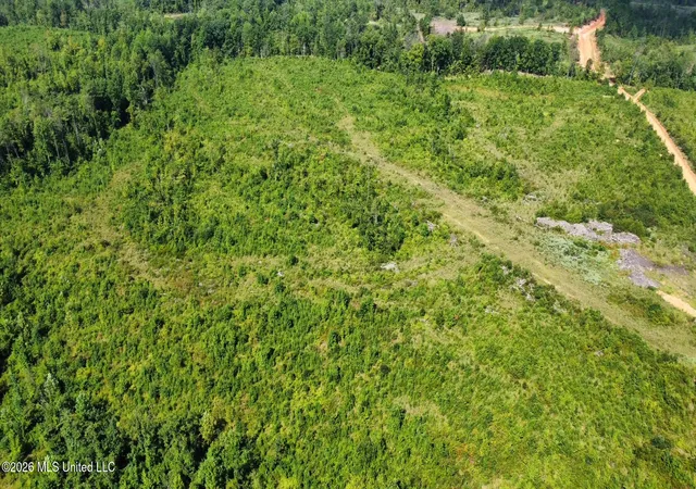 Photo 3 of Land for sale at 3 Will Womack, Mantee, MS 39751 | MLS# 4158197 | Listing updated on 2026-08-05