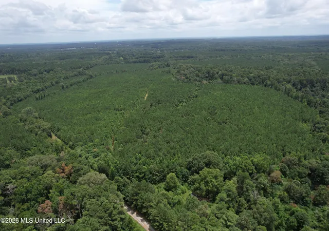 Land for sale at Smith County Rd, Raleigh, MS 39153 | MLS# 4158289